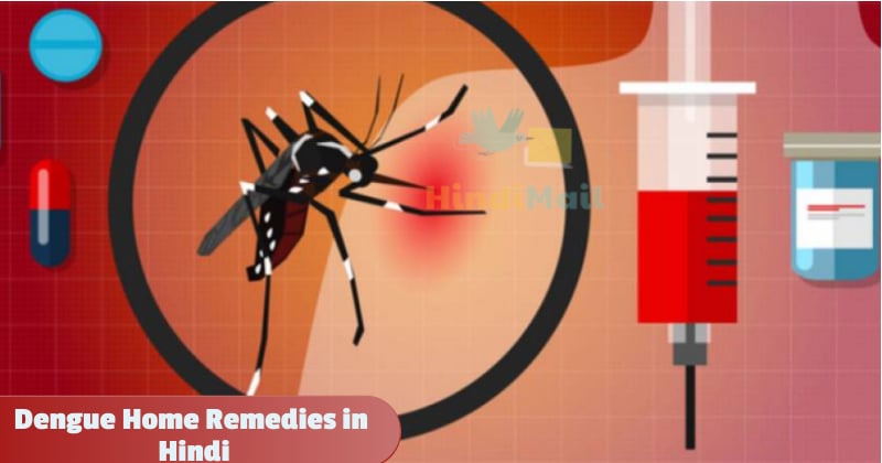 Dengue Home Remedies in Hindi