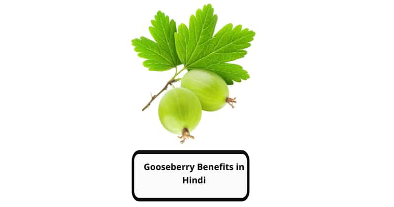 Gooseberry Benefits in Hindi